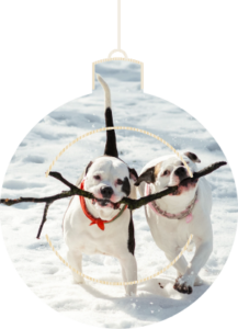 pets gift ideas